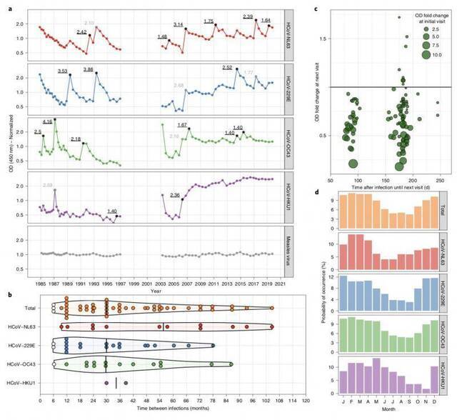 新冠保护性免疫持续多久？四种冠状病毒35年监测提示：短暂