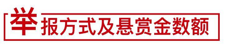 最新悬赏！举报一辆车奖1000元，12天已锁定17辆…