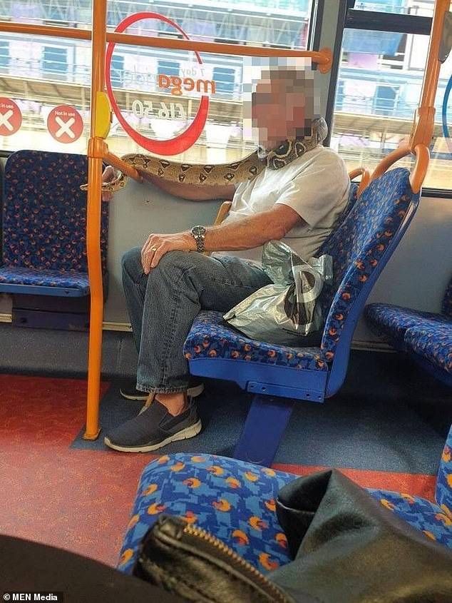 公交车上，他的口罩是一条活蛇！