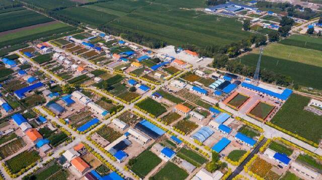 这是吉林省大安市永强村（7月23日摄，无人机照片）。新华社记者张楠摄