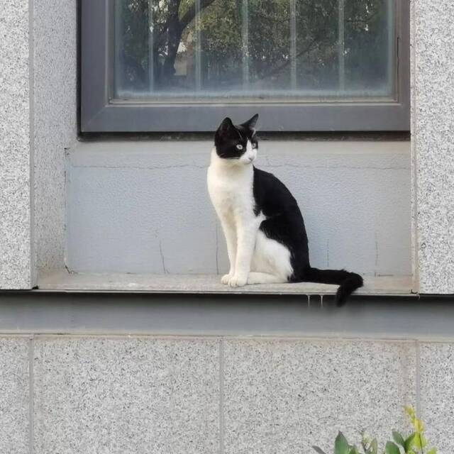 让我再看你一眼，夏日南邮！