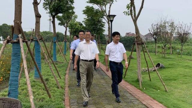 人大调研组走进田间地头展翔摄