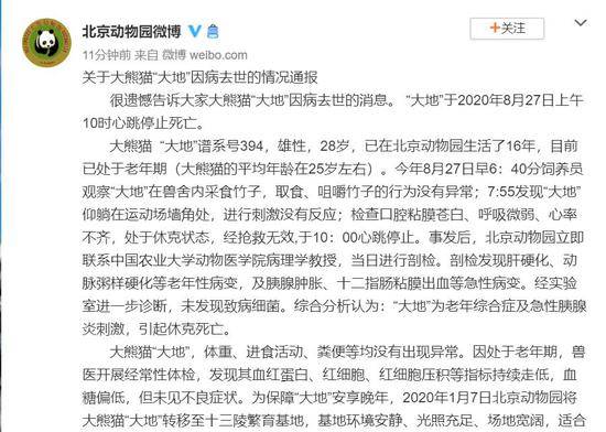 北京动物园28岁大熊猫“大地”因病去世