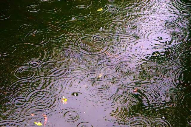 每一帧都是壁纸！雨中浙师竟美成这样…你那儿也下雨了吗？