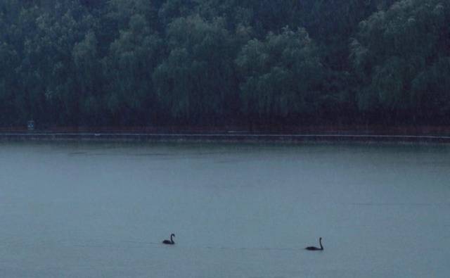 每一帧都是壁纸！雨中浙师竟美成这样…你那儿也下雨了吗？