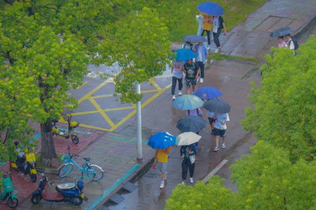 每一帧都是壁纸！雨中浙师竟美成这样…你那儿也下雨了吗？