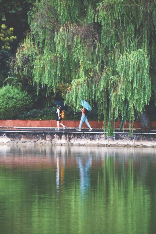 每一帧都是壁纸！雨中浙师竟美成这样…你那儿也下雨了吗？