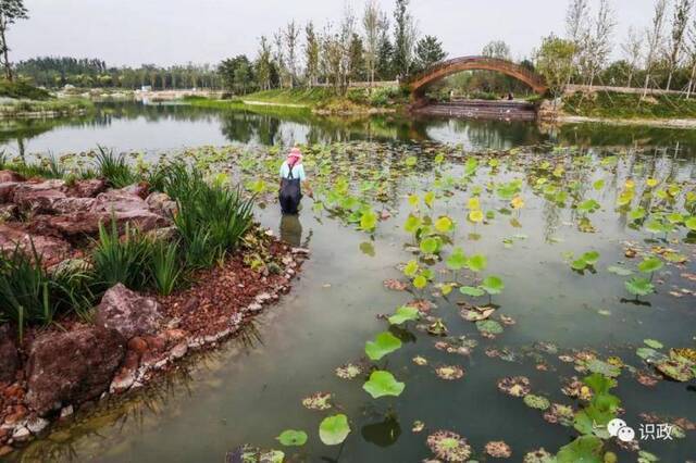 北运河一北一南新添这两座大公园，蔡奇调研检查