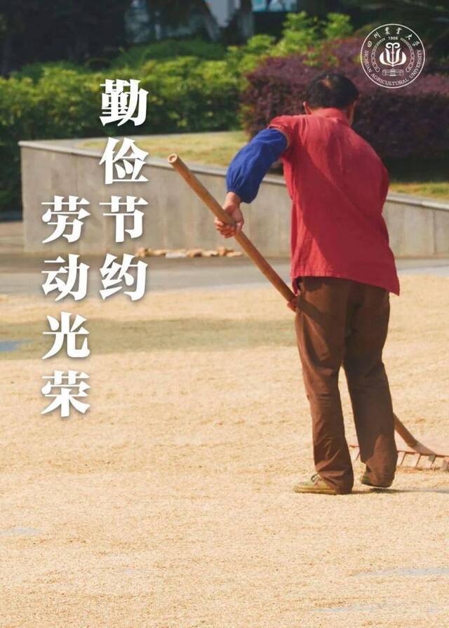 今天，农大不能缺席！