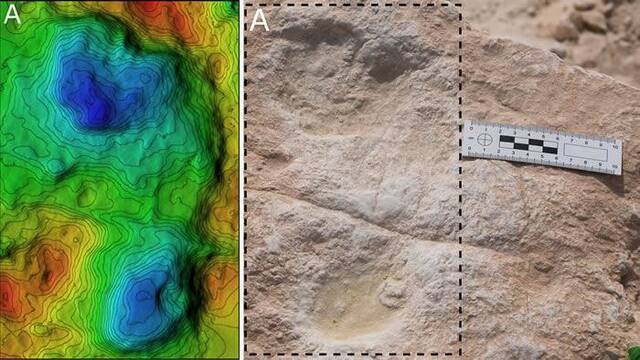 12万年前足迹化石提供了早期人类在阿拉伯半岛居住的证据