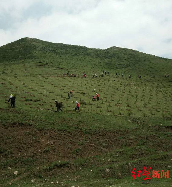 ↑多位包工头承包的荒山植树造林工程图据受访者