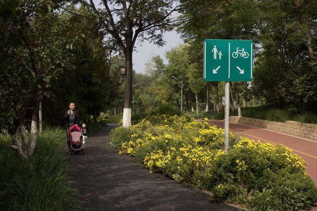 在亦庄，不少道路都通过绿化带实现了机动车道和非机动车道的硬隔离。新京报记者李凯祥摄