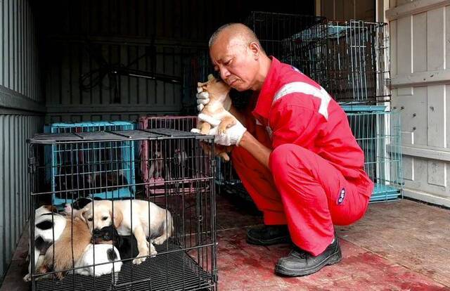 上海古寺住持与他救的4500条流浪狗