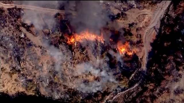 美国亚利桑那州山火肆虐 民众紧急撤离