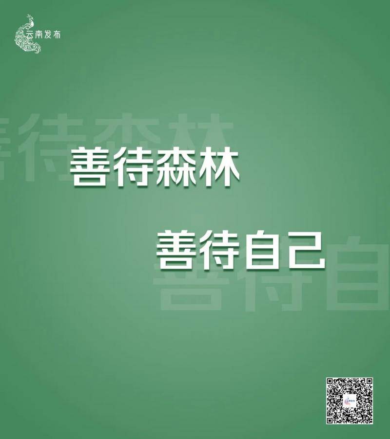 非法侵占林地、种茶毁林……云南通报10起典型案例