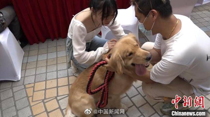 全球每9分钟有1人死于狂犬病