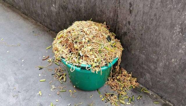 安徽阜阳一农村小学营养餐“溢出垃圾桶” 校方回应