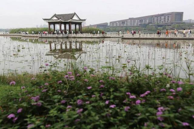 松山湖松湖烟雨景区资料图记者陈栋摄