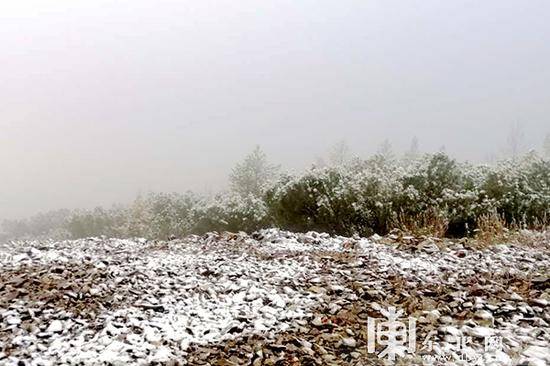 呼中首场降雪。