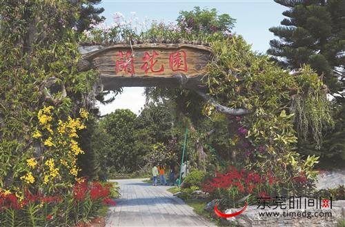 ■植物园的兰花园即将于国庆节当天重新开放，和广大市民见面记者郑志波摄