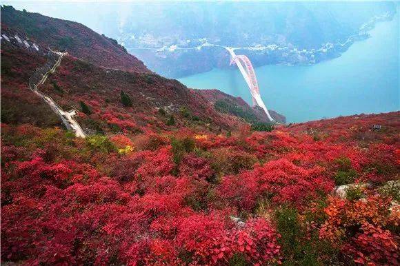 巫山红叶图：巫山县委宣传部