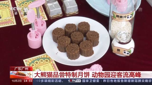 广东广州大熊猫品尝特制月饼 动物园迎客流高峰