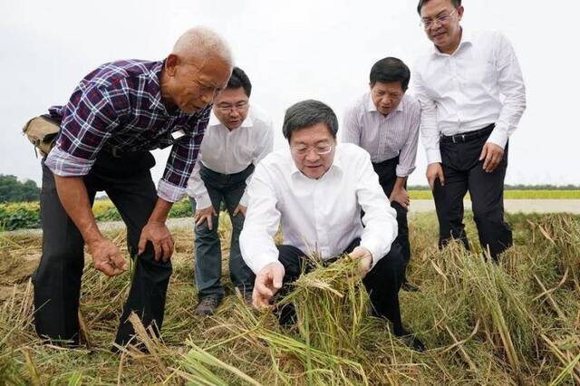 长假第一天，杜家毫检查督导全省道路交通安全保畅、粮食秋收等工作