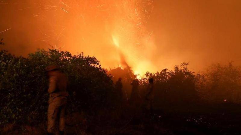 世界最大湿地9月超8千起火灾 为单月着火点数量最高纪录