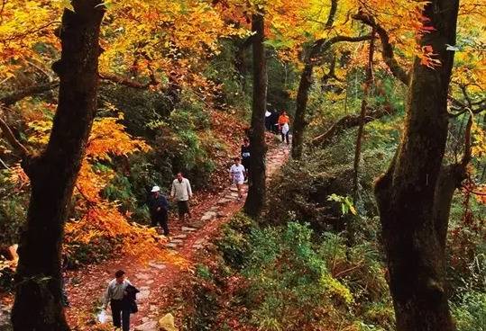 秋天到了，冬天还会远吗？一份“冬农趣”地图，提前畅想下一段旅程