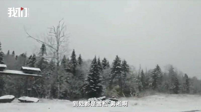 黑龙江雪乡等景区迎来入秋首场降雪，游客：被我们有福的人赶上了