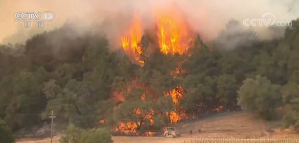 美国加州山火过火面积超1.6万平方公里