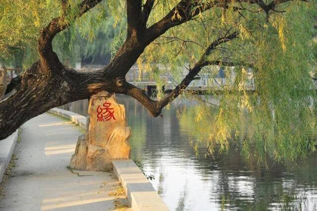 假期没玩够？ 东师校园游来喽~