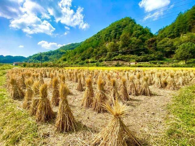 张张都能当壁纸！又一波美照来啦~抓住最后机会，下一个获奖的就是你