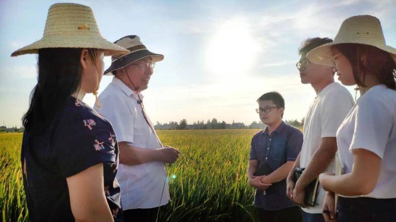 钟老师带着同学们深入田间地头调研（吴子强供图）