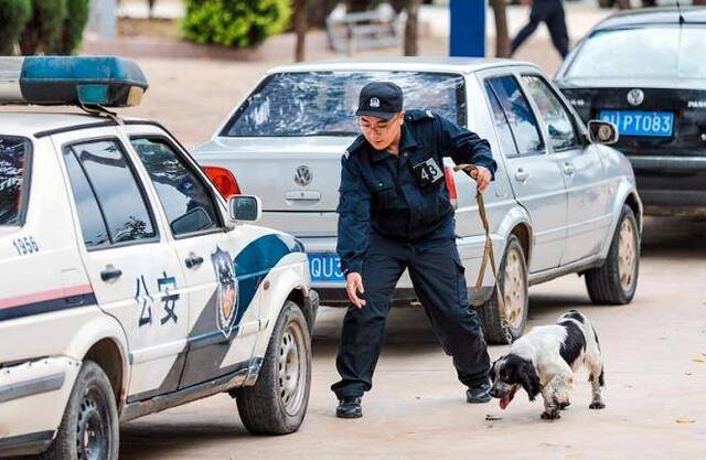 全国铁路公安机关开展警犬搜爆战训比赛提高实战水平