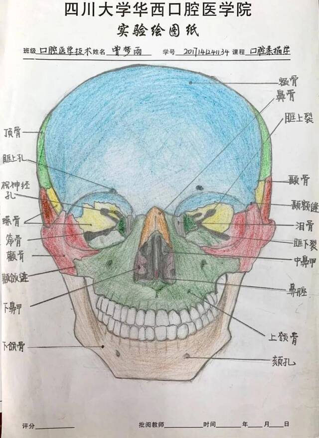 “织刻雕绣”全拿下！川大口腔医学生“巧手养成记”