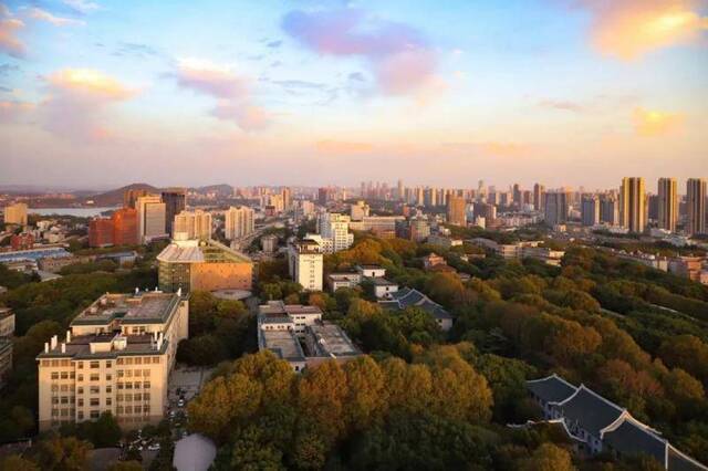 今日寒露，华师最美季节来了~