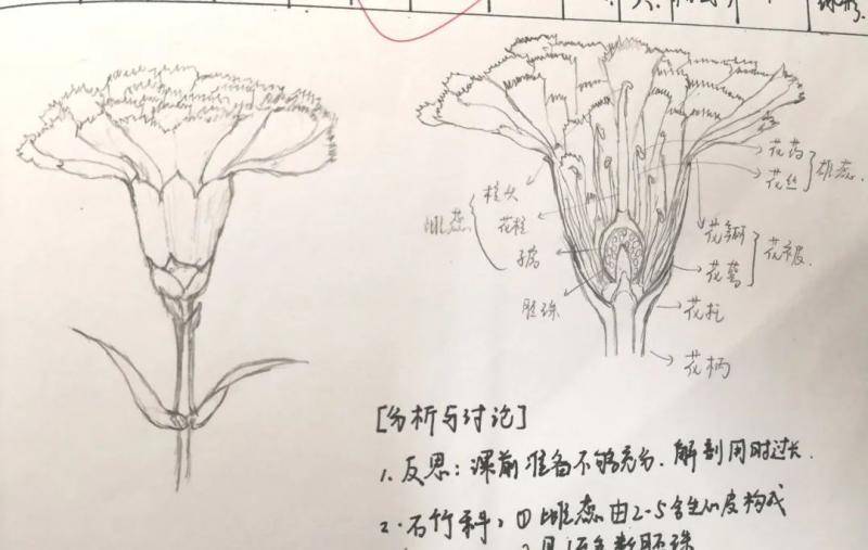 绝了！同济er的“神仙”笔记太强了！