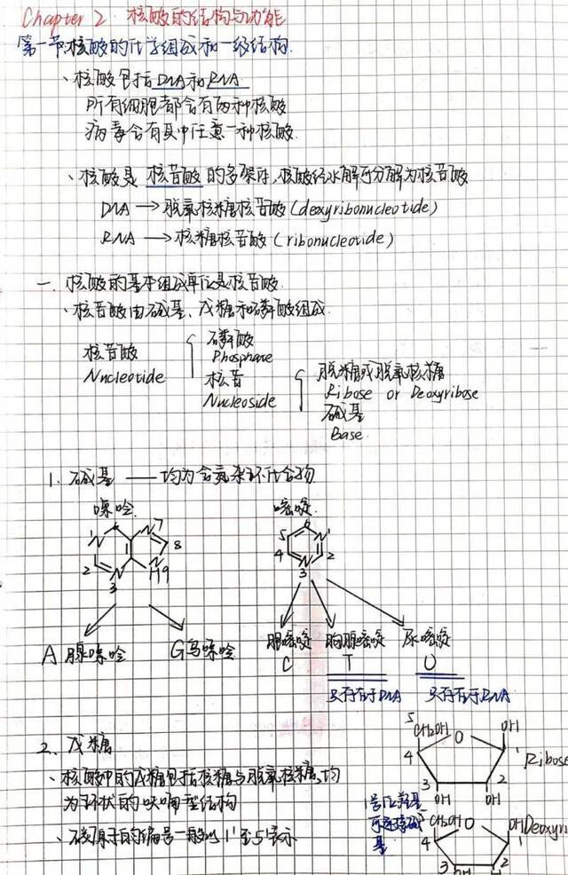 绝了！同济er的“神仙”笔记太强了！