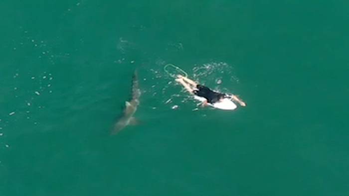 澳洲知名冲浪运动员Matt Wilkinson在夏普斯海滩冲浪遭大白鲨盯上无人机发警告脱险