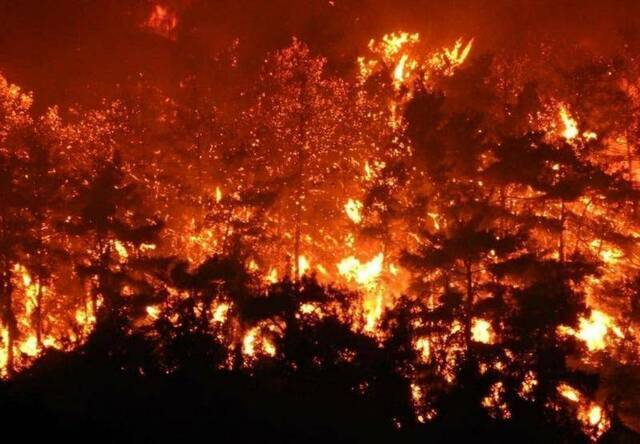 土耳其哈塔伊森林大火持续 火势仍未得到控制