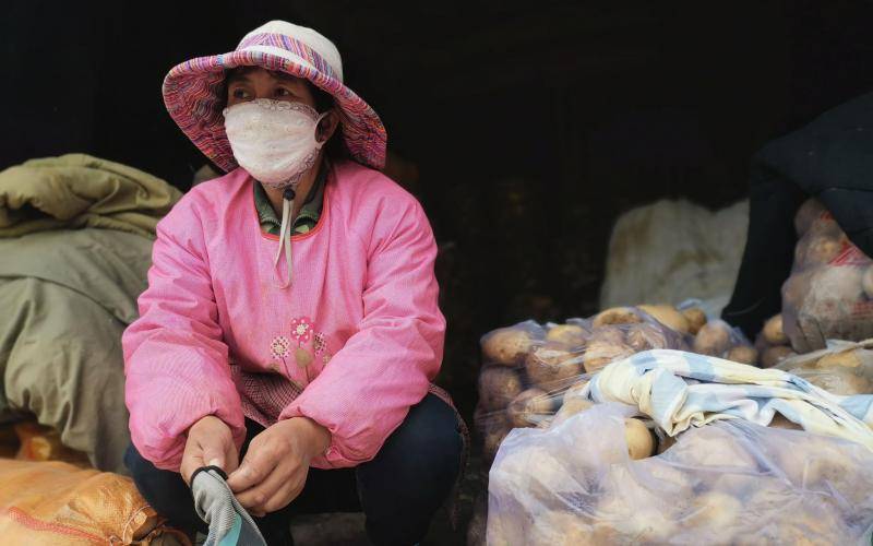 甘肃定西国家级马铃薯市场，贩卖土豆的人们随着收获季的开始，忙碌了起来。新京报记者周怀宗摄