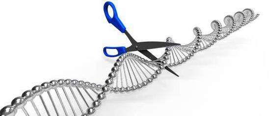 2020年诺贝尔化学奖解读：基因剪刀都能“剪”什么