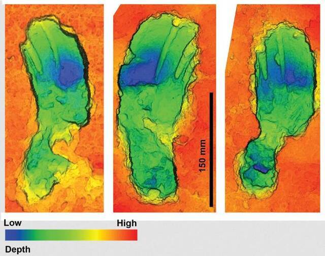 美国新墨西哥州白沙国家公园干涸古湖床上发现已知最长人类足迹化石绵延1.5公里