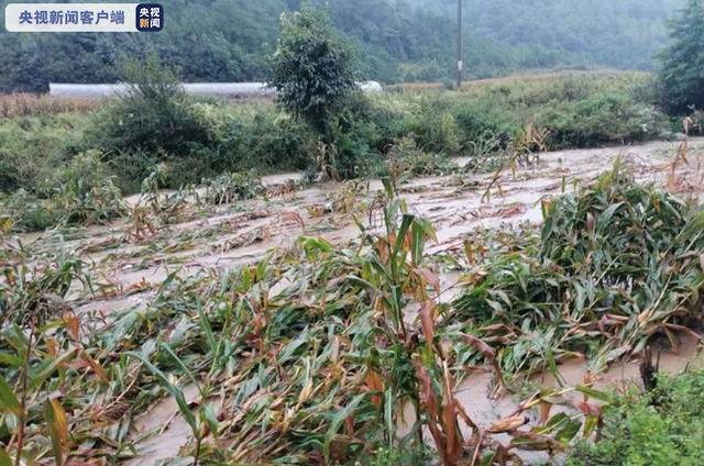 受台风“浪卡”影响 云南将迎强对流天气