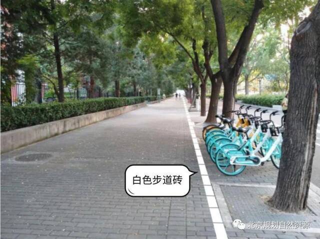 北京发布《步行和自行车交通环境规划设计标准》 2021年4月1日实施