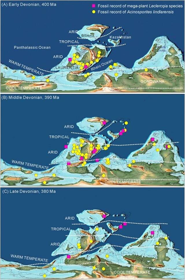 莱氏蕨在泥盆纪不同时期的时空分布模式
