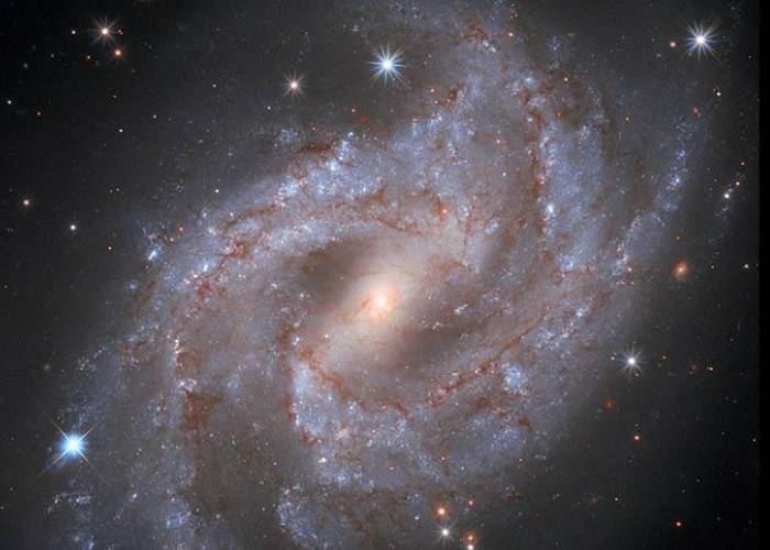 船尾座NGC 2525螺旋星系超新星“SN 2018gv”缩时影像比太阳耀眼50亿倍
