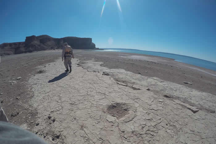 阿根廷巴塔哥尼亚省大坝水位降低湖岸出现恐龙脚印化石