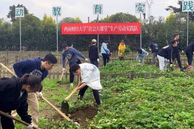 走进田间，“劳”获金秋——西南财经大学“社会大课堂”生产劳动实践暨广汉市大学生劳动教育实践基地启动仪式举行